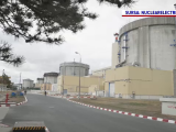 LIVE, ora 11.00. Președintele Nicușor Dan, la Centrala Nuclearoelectrică de la Cernavodă