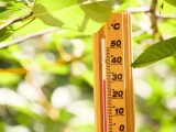 Vremea azi, 2 august. Temperaturile cresc după scăderile din ultimele zile. Maxima termică a zilei