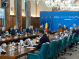 Şedinţă de Guvern: Intervenții mai rapide în cazul atacurilor de urs. Ce se va întâmpla cu urșii care intră în localități