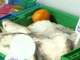 România importă peste 80% din peștele consumat. Pescarii nu au unde să-și păstreze captura