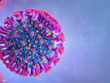O nouă variantă a noului coronavirus, descoperită în Africa de Sud