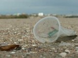Plaje la liber pe litoral, fără baldachine și baruri. Proiect: 20% din întinderile de nisip să fie publice