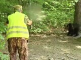 Un bărbat de 88 de ani a fost găsit mort de 12 ore, în Neamț. Ar fi posibil un atac de urs