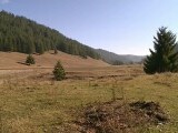 Cuplu de tineri descoperiți împușcați în mașină, lângă lacul Frumoasa. Asomatorul care le-a luat viața, găsit lângă ei