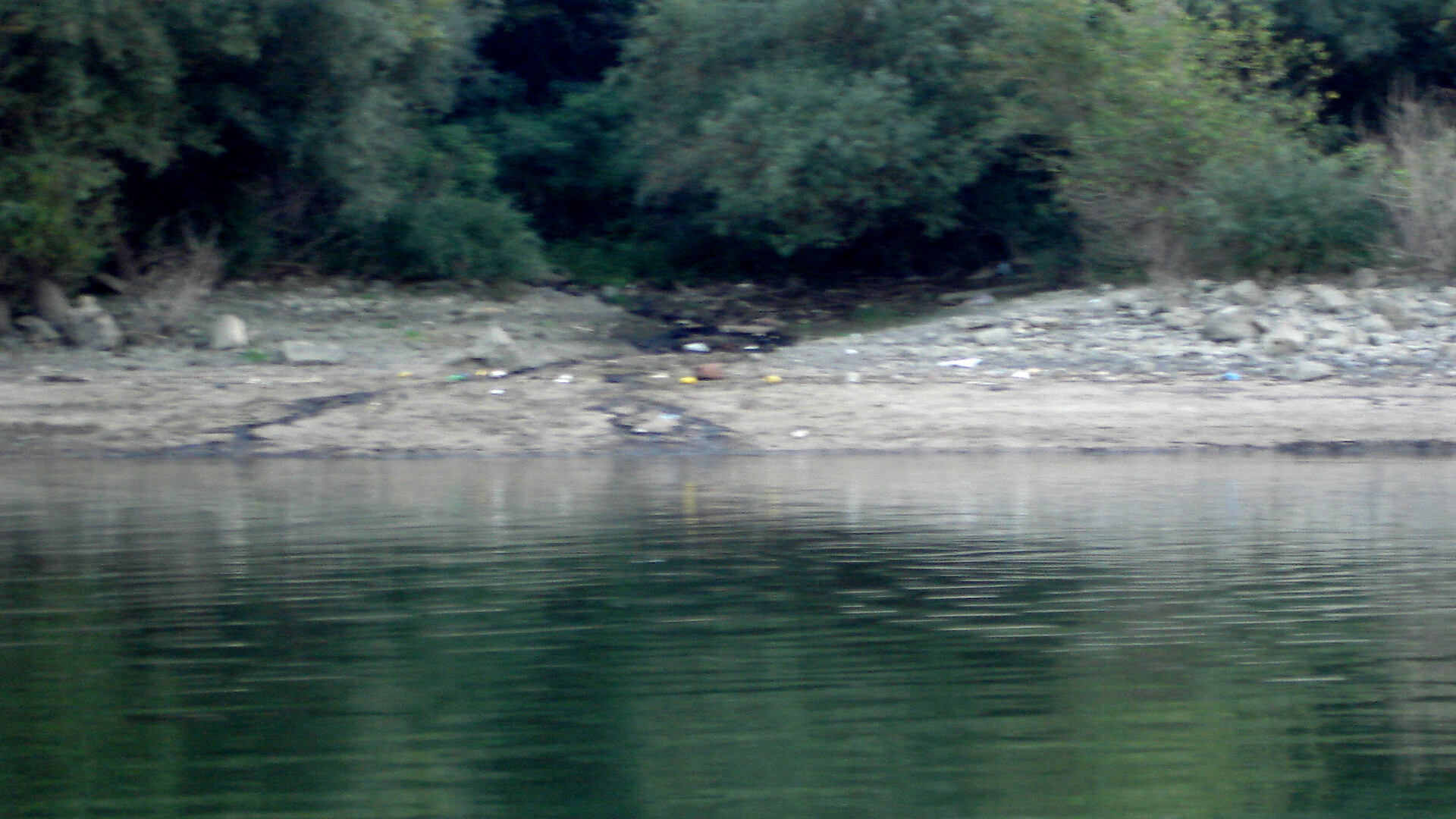 poluare pe Dunare
