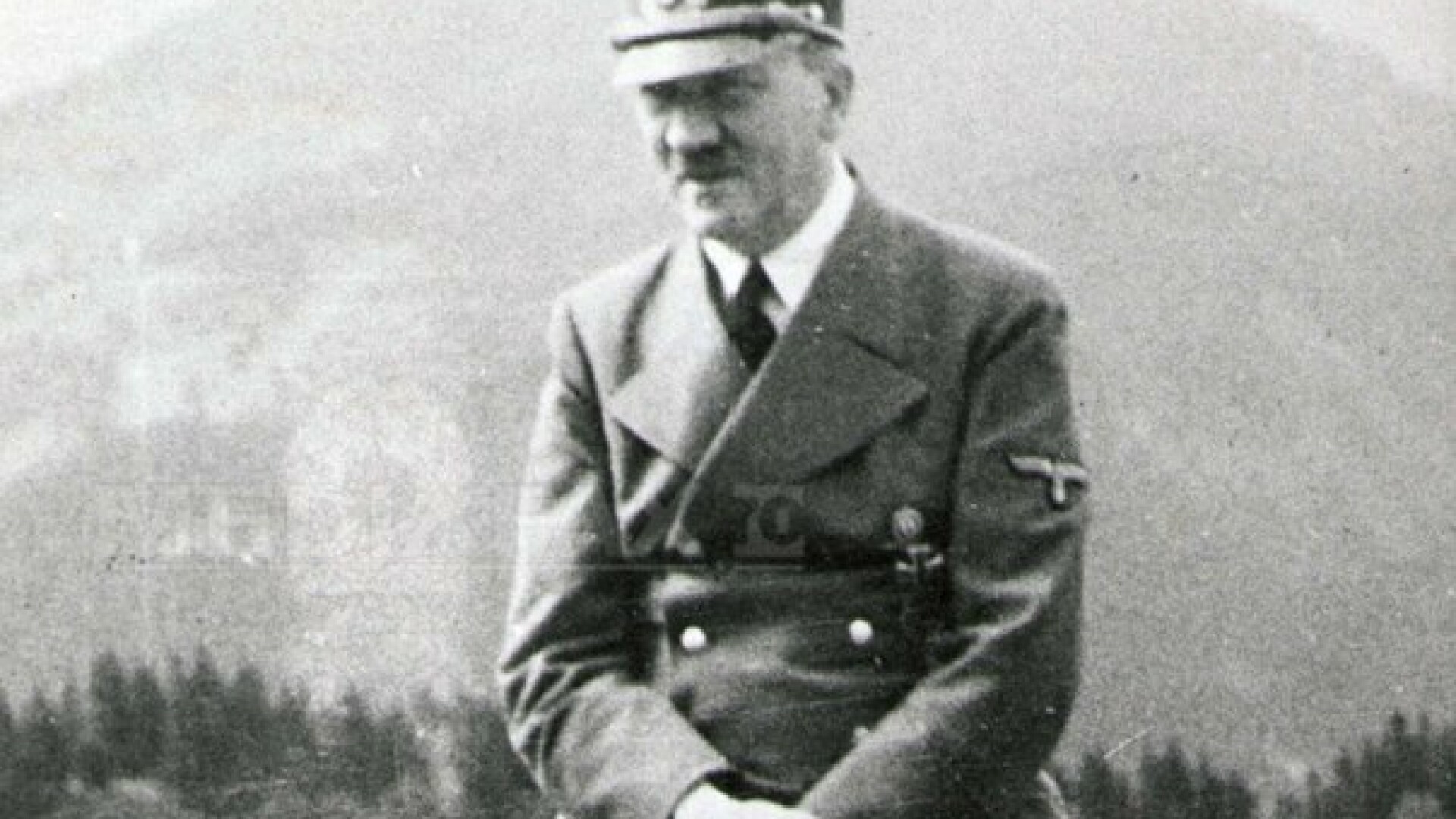 Adolf Hitler, Mediafax