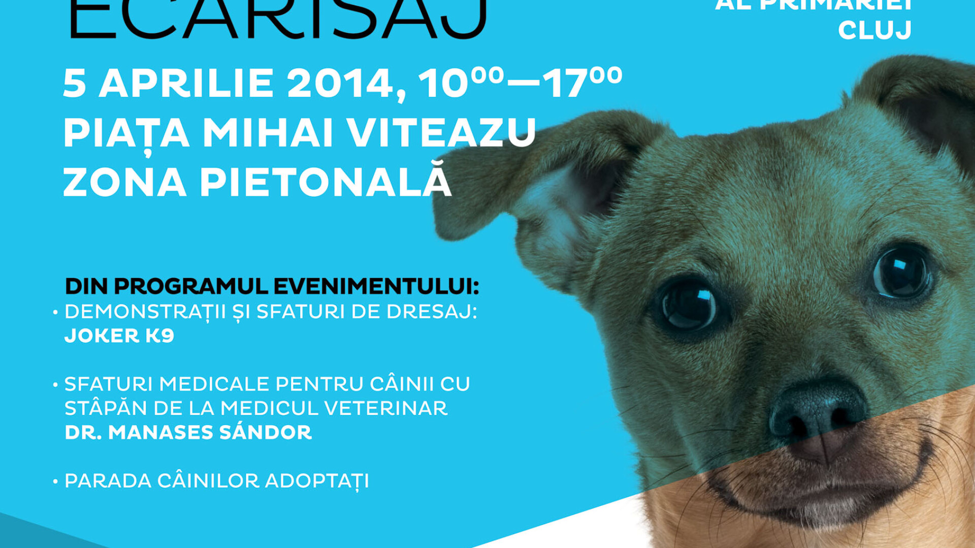 Weekend de binefacere. Clujenii sunt invitati sa adopte un caine abandonat