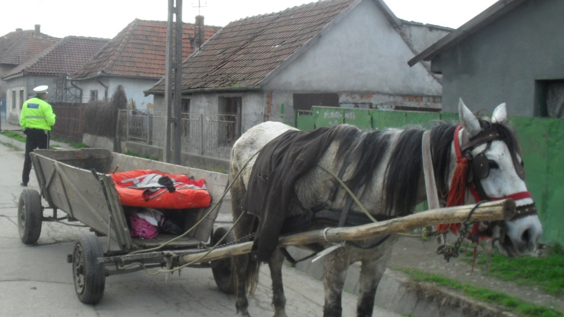 caruta, timisoara