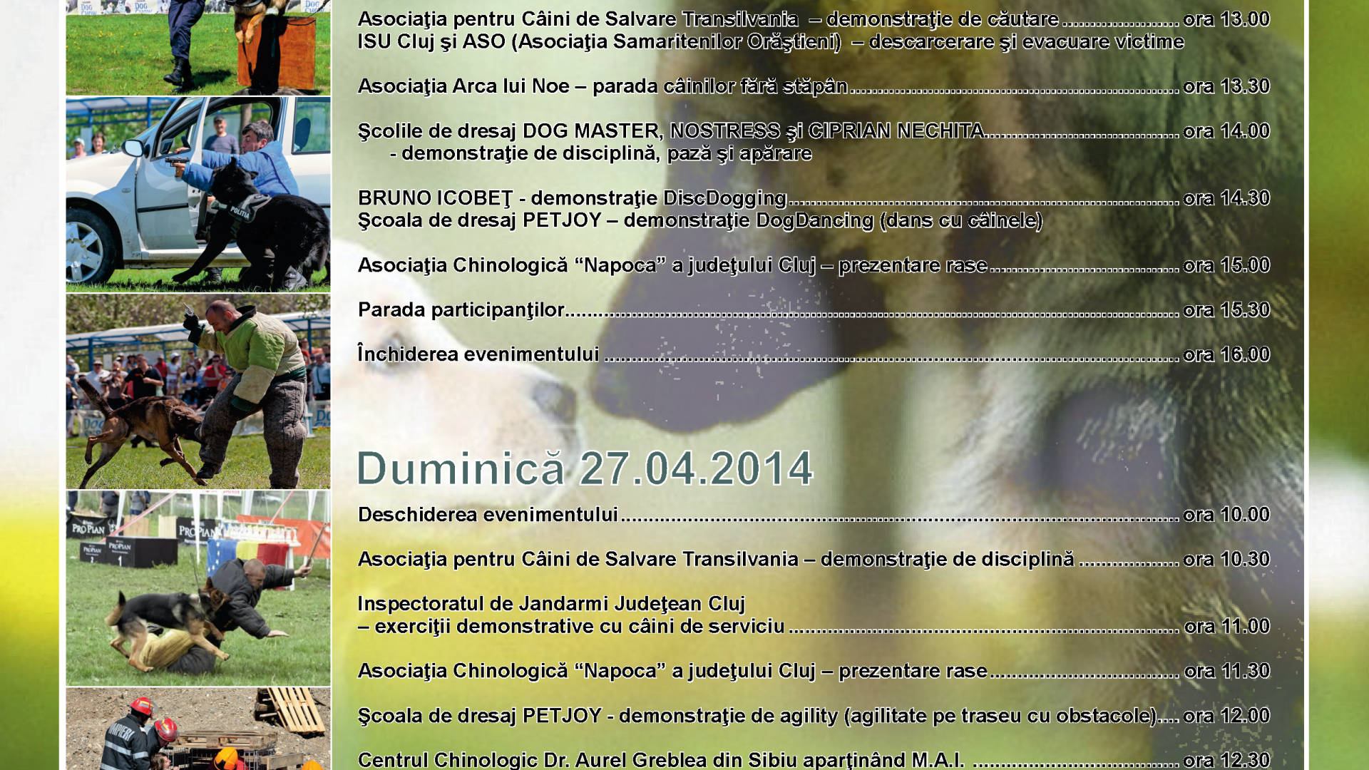 Ziua Internationala a Cainilor de Salvare se sarbatoreste la Cluj prin Hiperparada animalelor