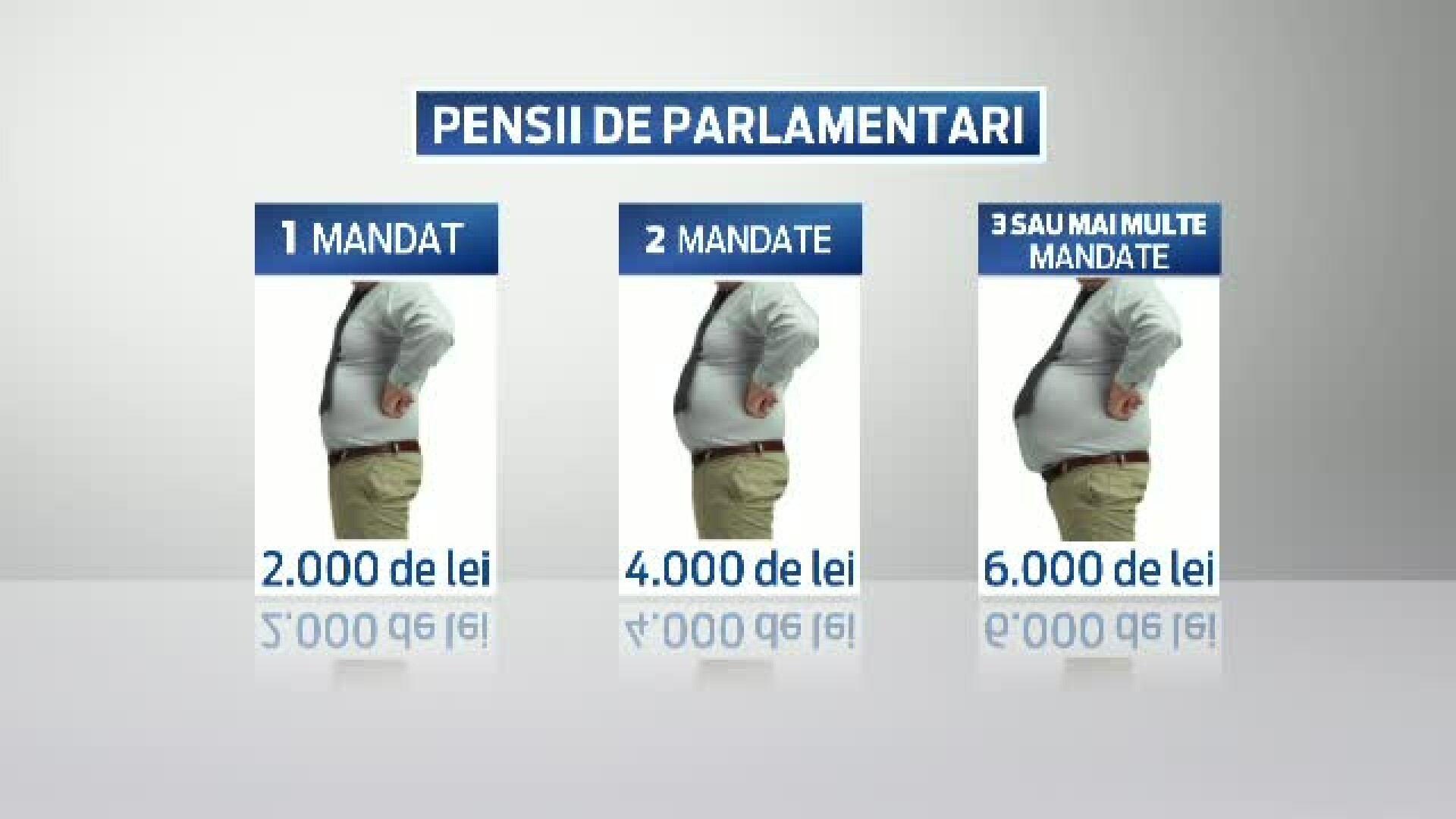 pensii, Parlament