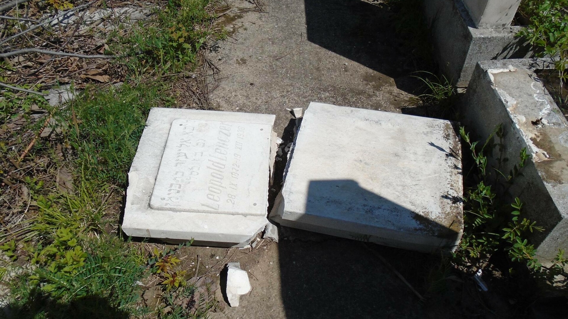 profanare morminte cimitirul evreiesc FOTO: SILVIU VREXLER