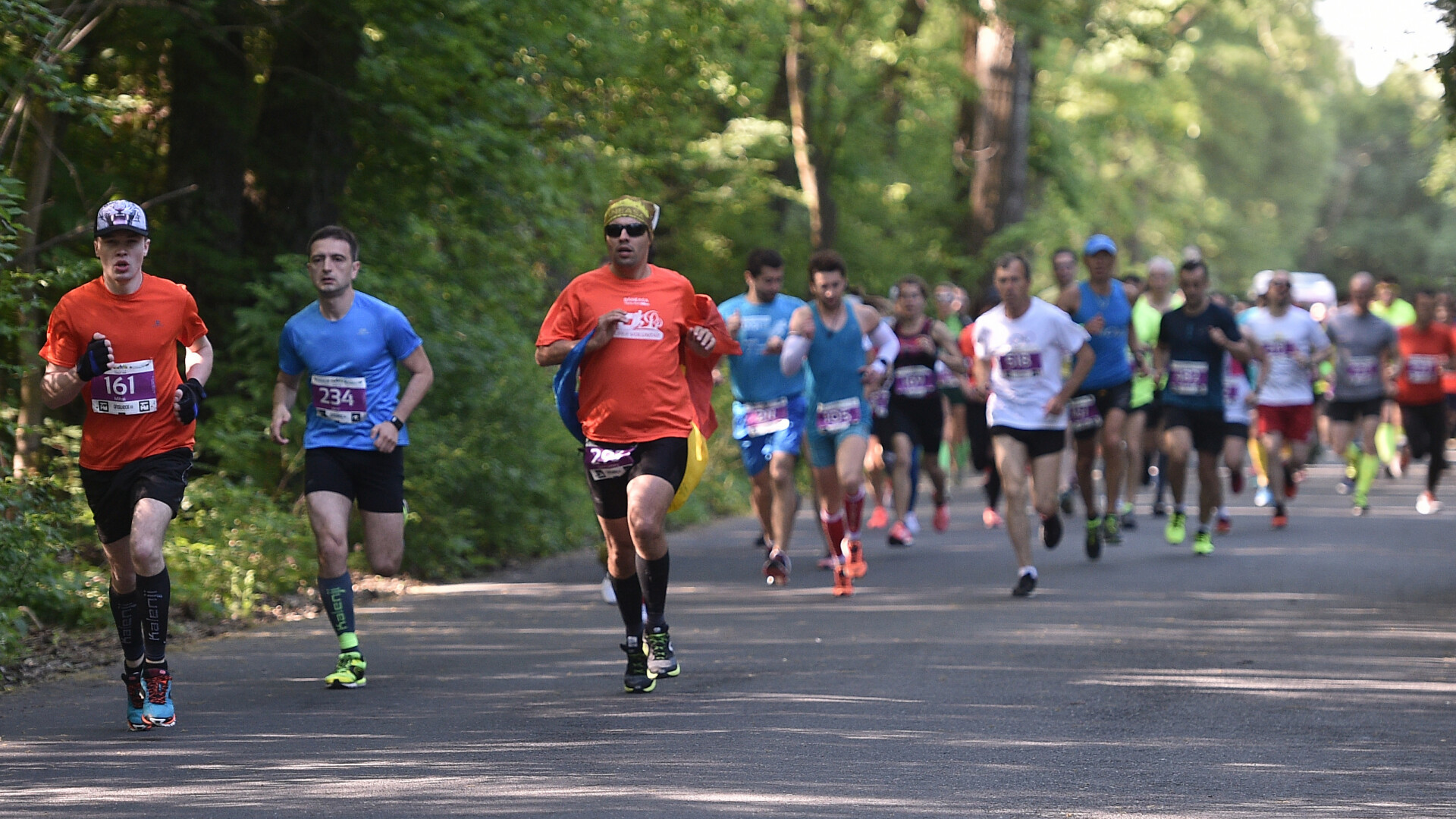 Semimaratonul și crosul Băneasa Forest Run