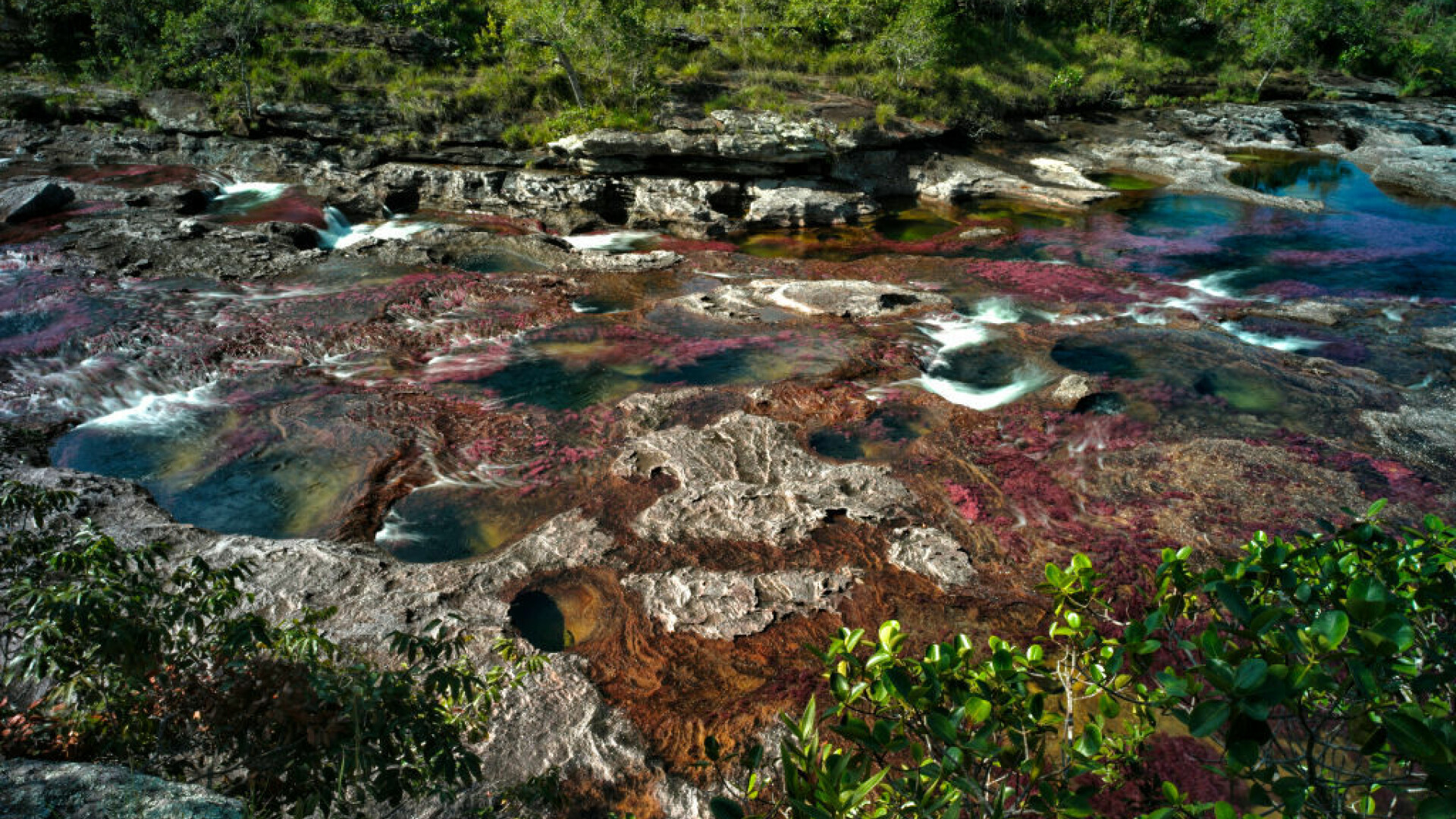 Motivul pentru care un râu curge în culorile curcubeului - 8