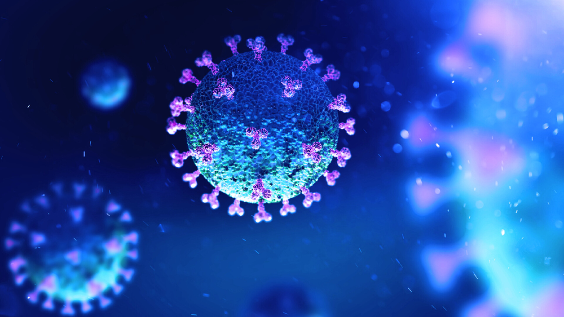 coronavirus