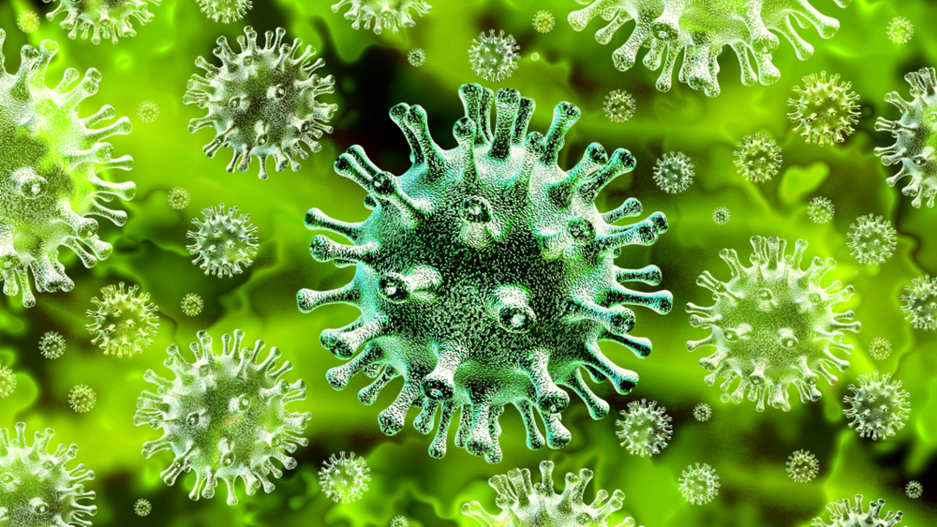 coronavirus