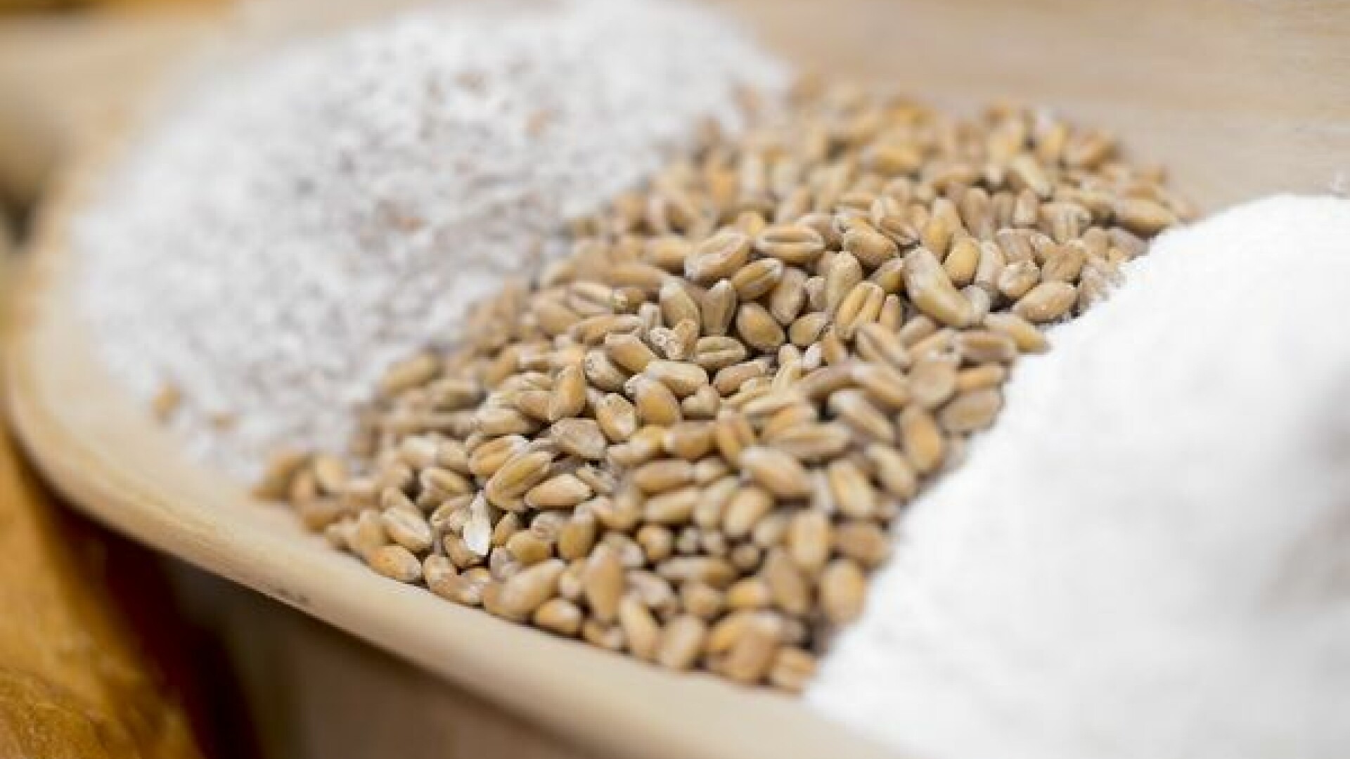 Interzicerea exportului de cereale, ”o decizie dramatică”. Embargoul României va duce la creșterea prețului la grâu în lume