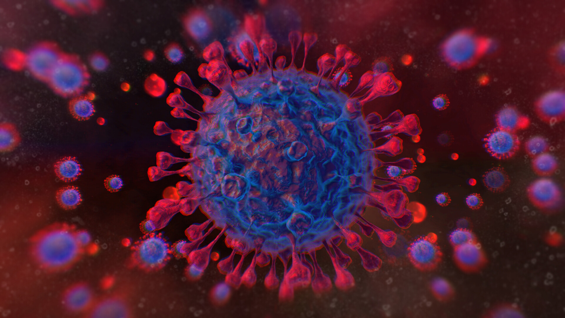 coronavirus