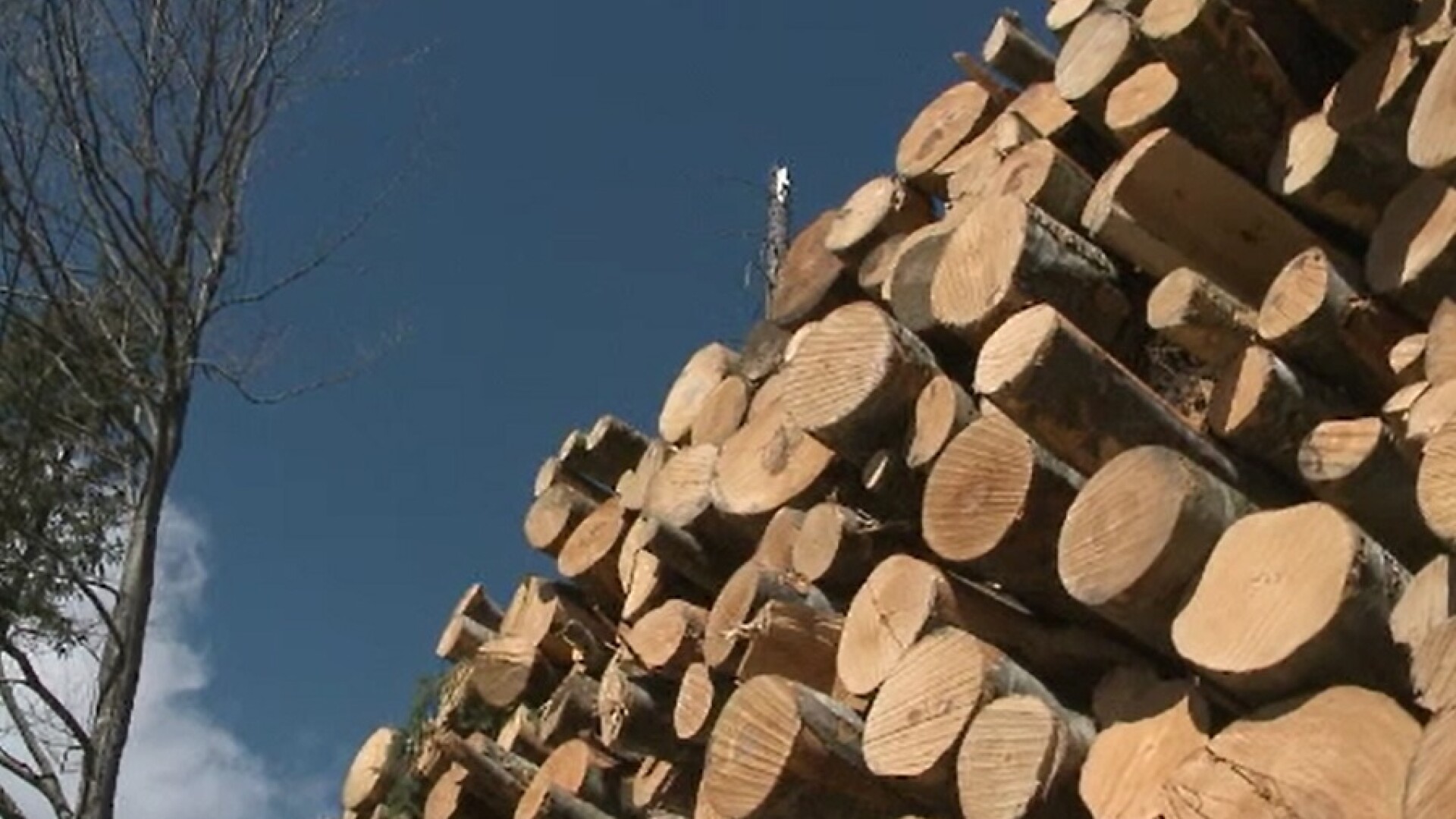 1200 de camioane încărcate cu lemne vor pleca din zona Cheia