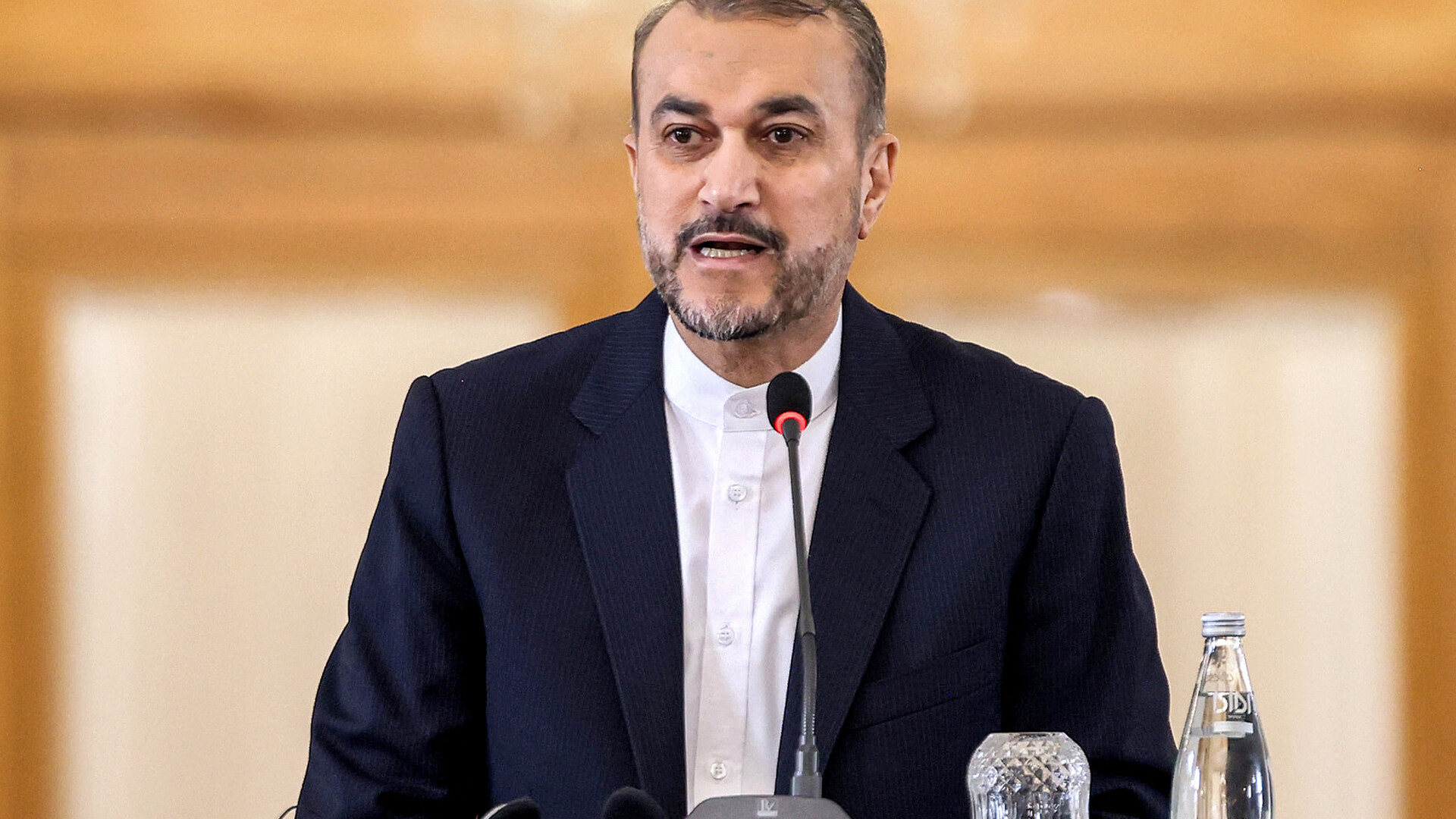 Hossein Amir-Abdollahian