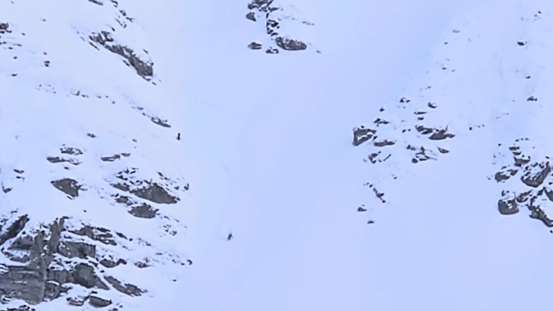 schior avalansa