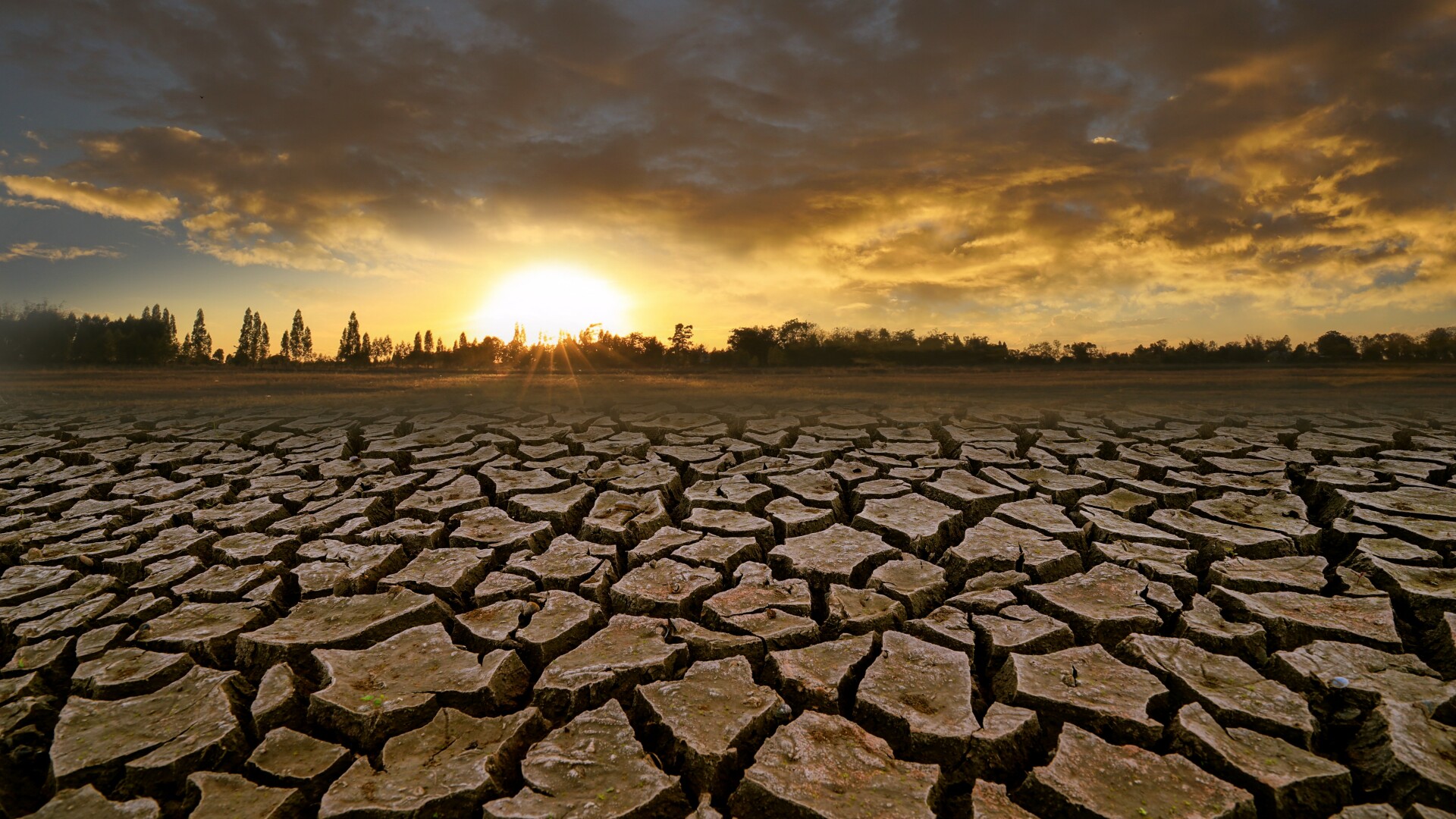 Recordurile absolute de temperatură din ultimele luni îi pun pe gânduri pe climatologi. Cum va fi clima în România, în 2030