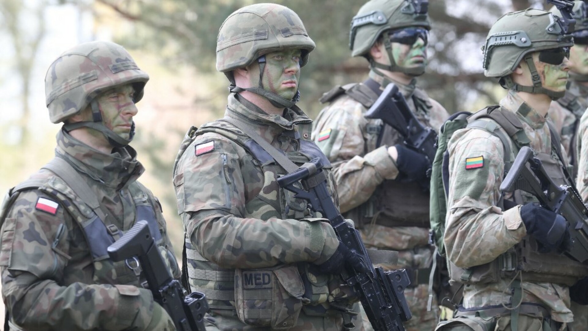Brave griffin, NATO, soldati