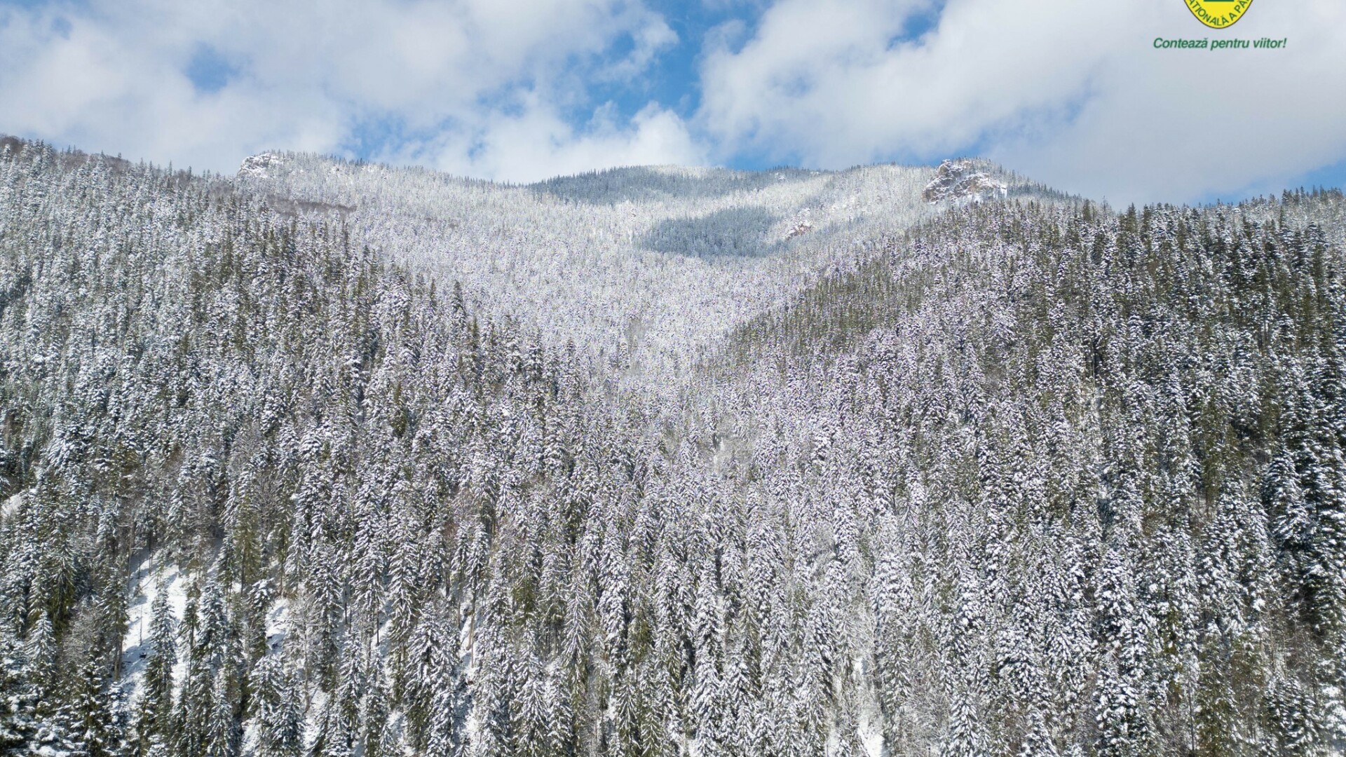 padure romsilva neamt