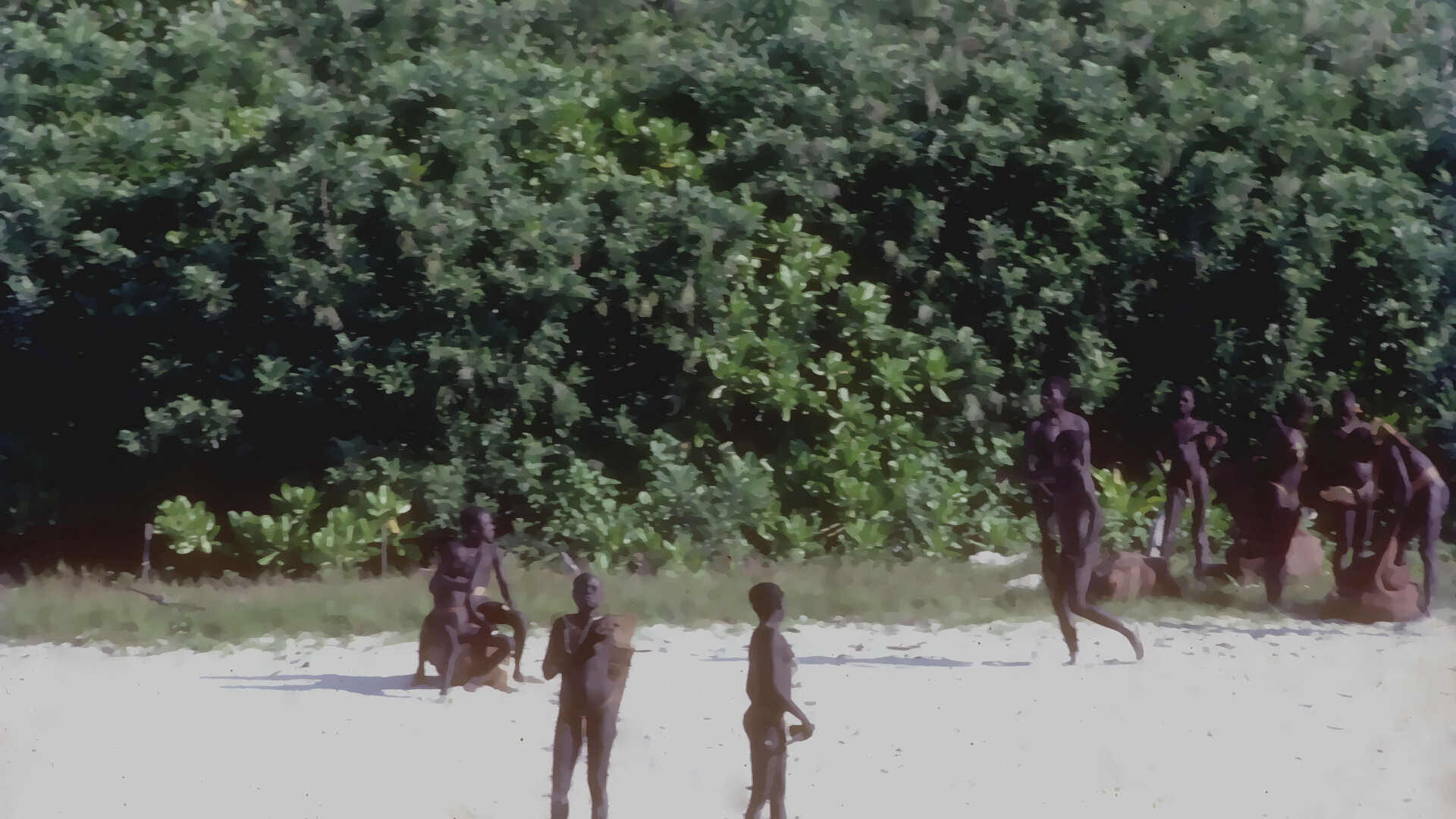 tribul sentinelese