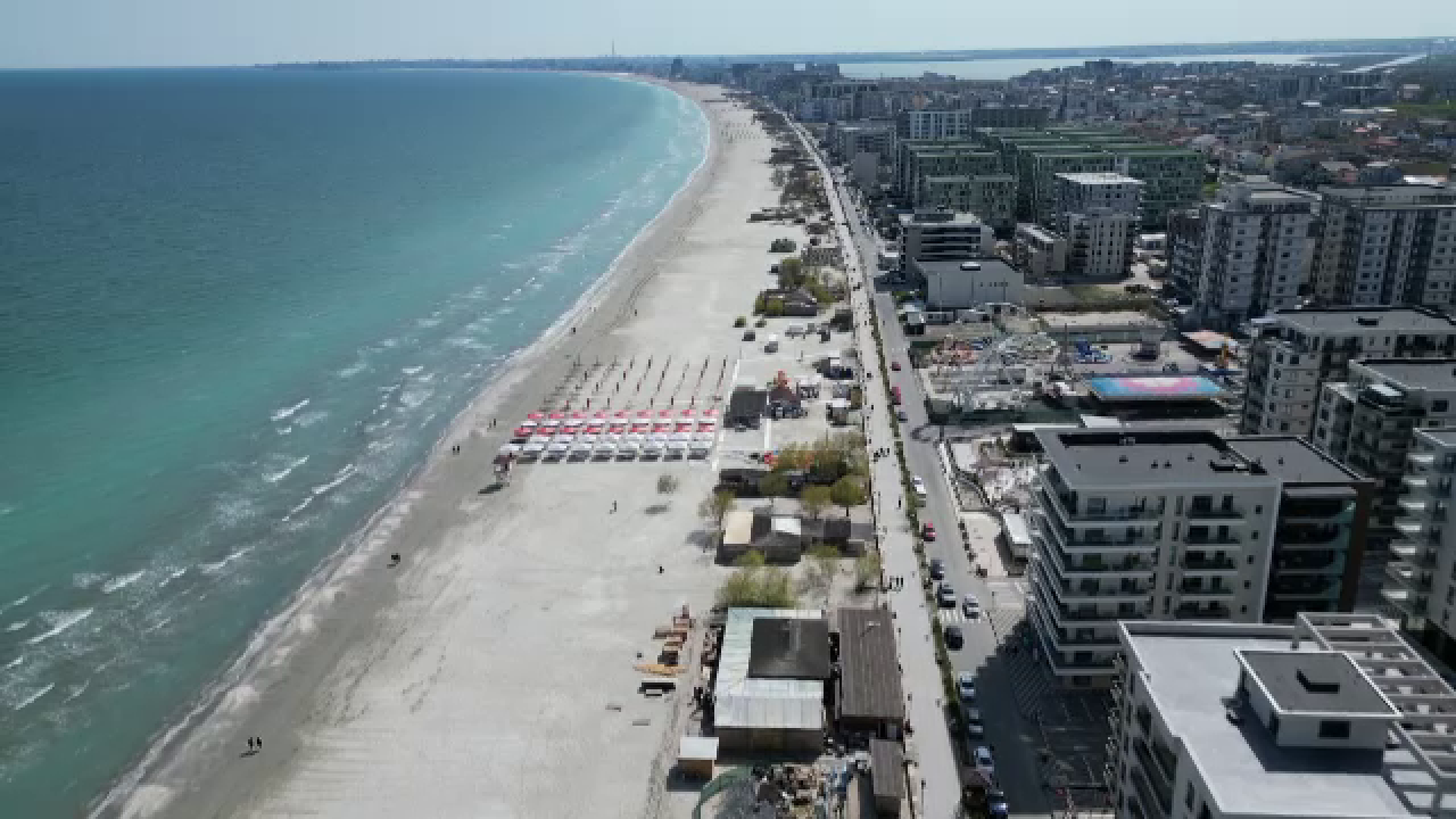 Proprietarul unei pensiuni din Mamaia-Sat, amendat pentru că şi-a lăsat câinii pe holurile unităţii