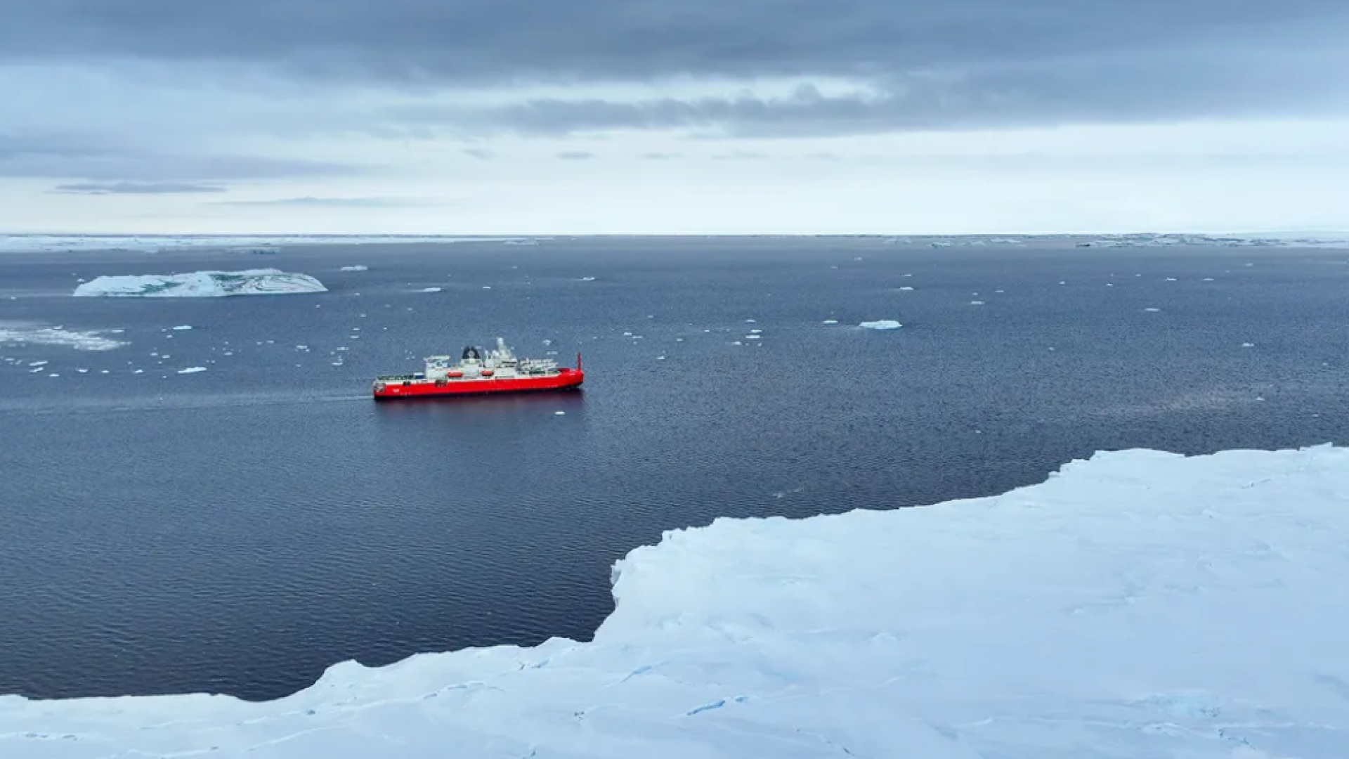 Expeditie stiintifica, antarctica