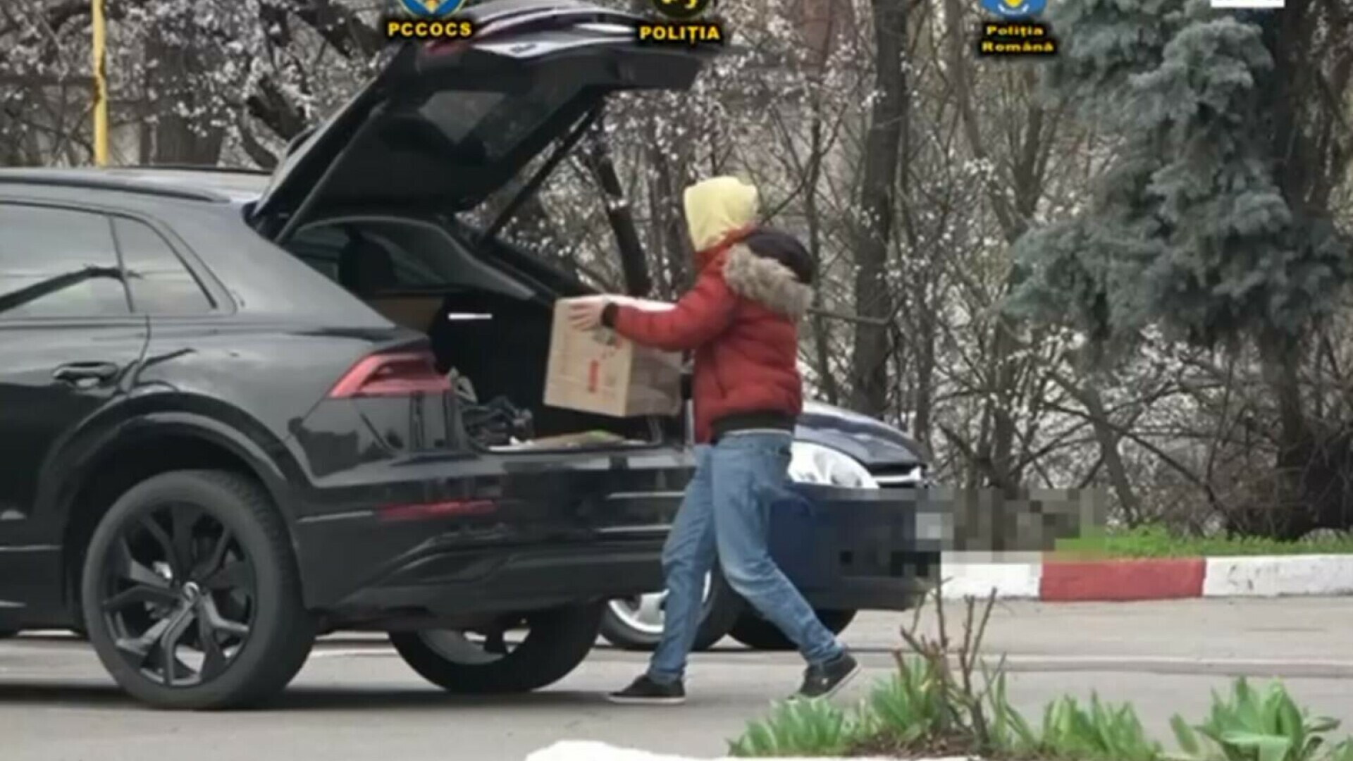 Suplimente contrafăcute vândute în Europa. O reţea internaţională a fost destructurată cu ajutorul Poliţiei Române şi Europol