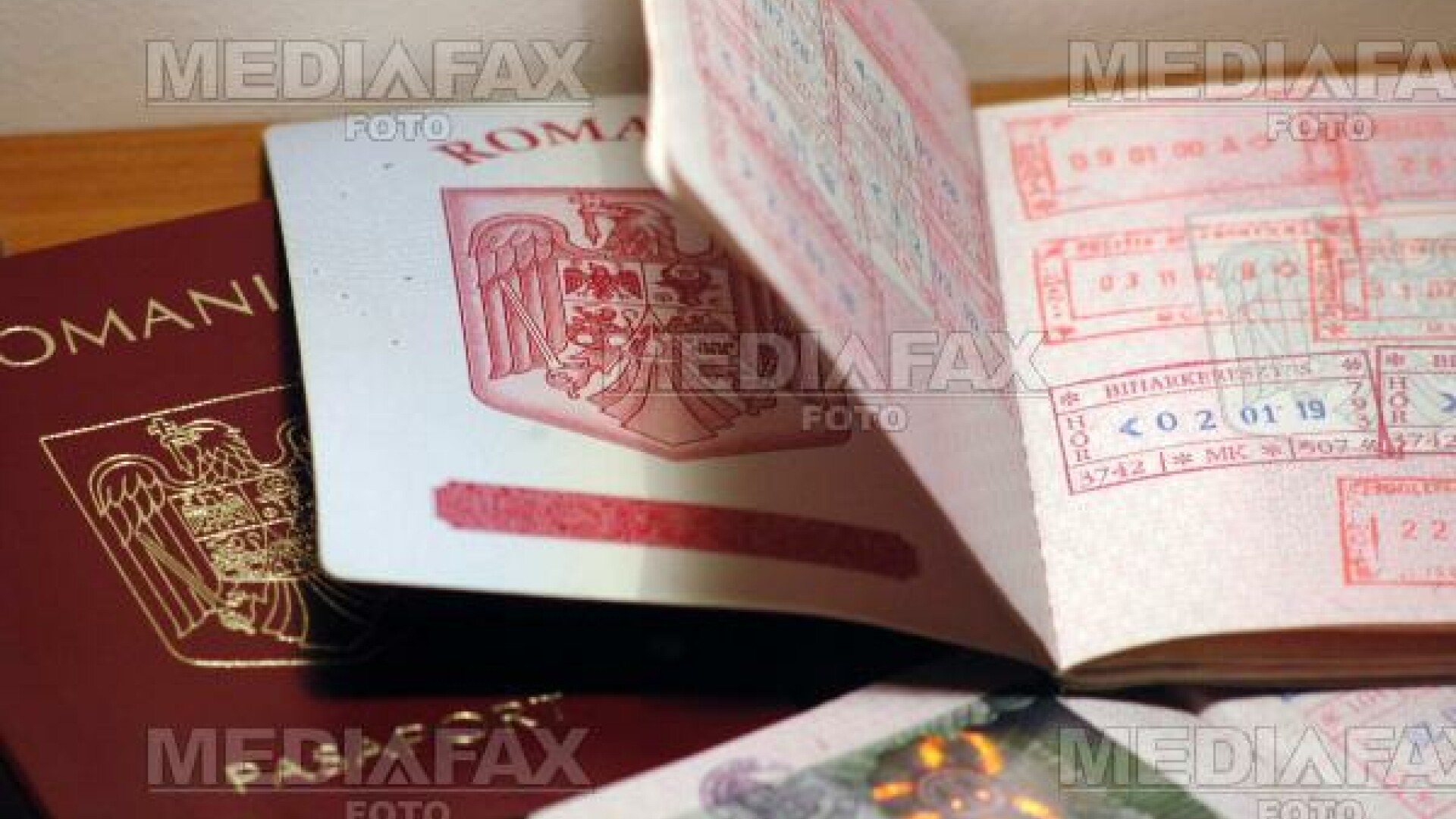 Irakienii aveau paşapoarte falsificate