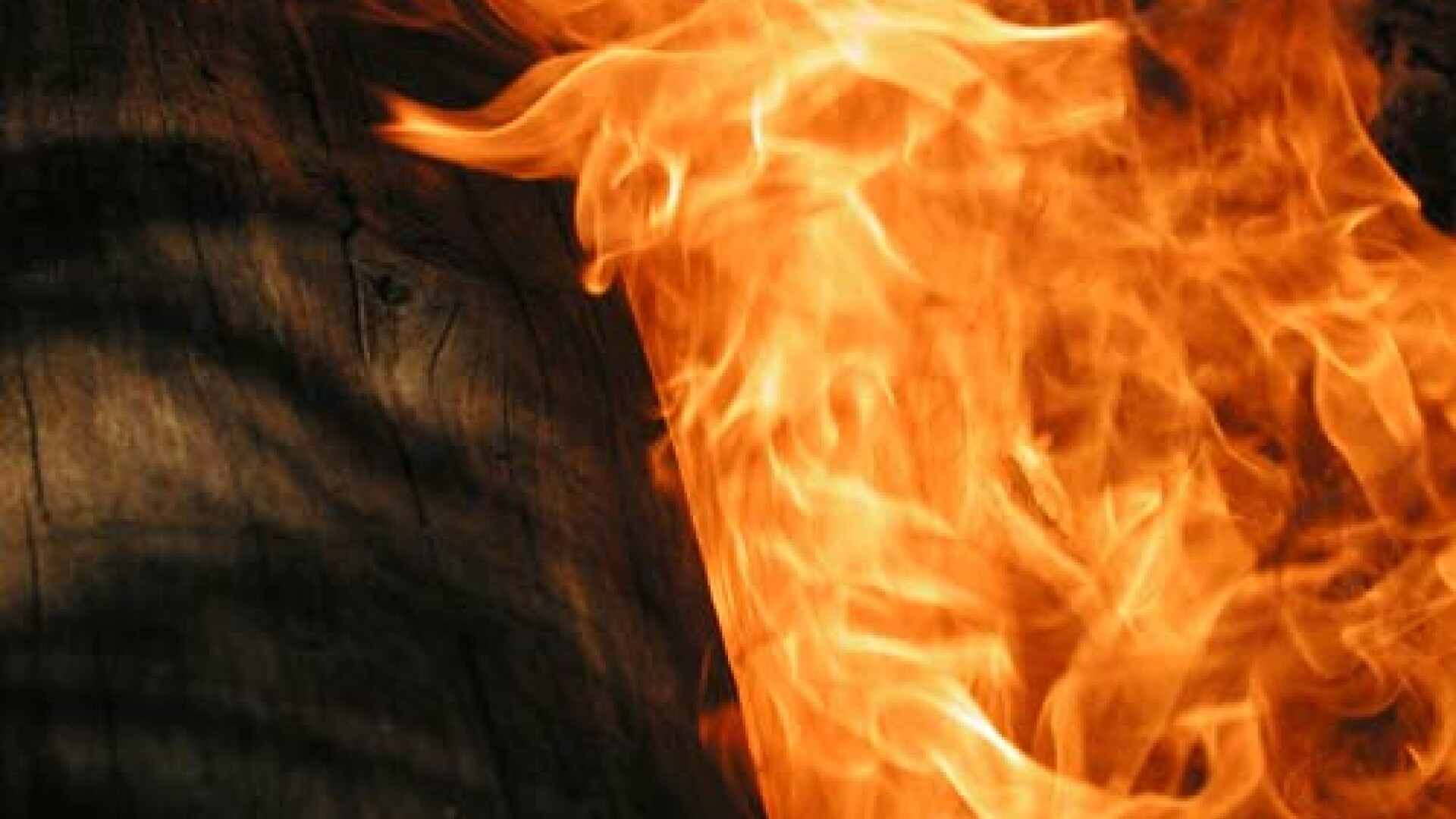 Incendiu devastator la o groapa de gunoi de langa Timisoara