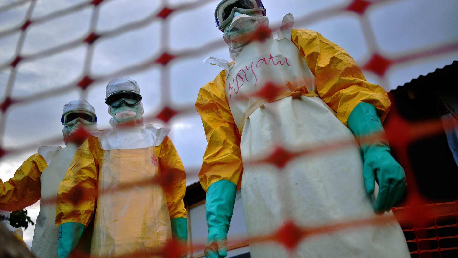 Ebola, epidemie