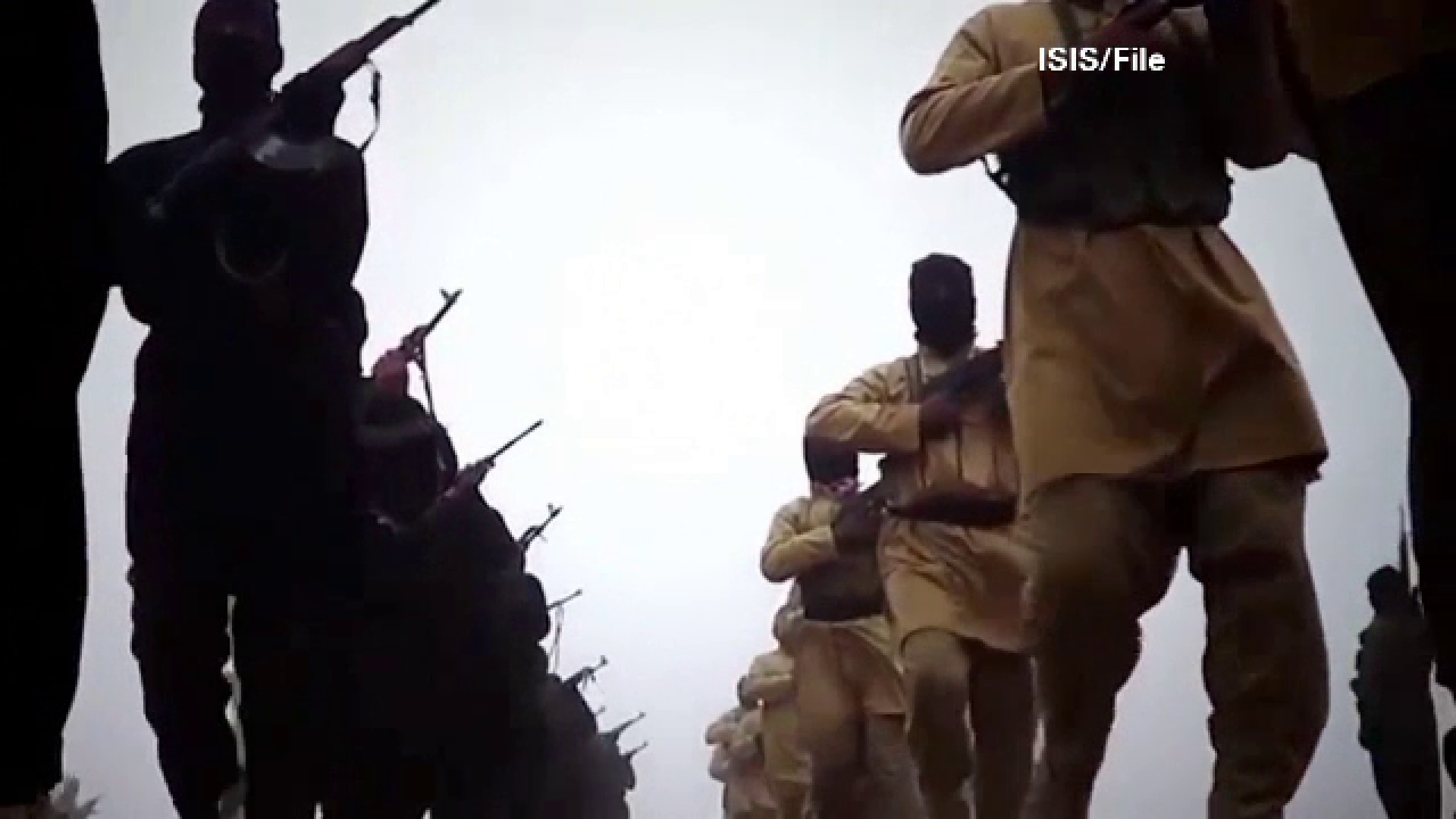 ISIS retele de socializare