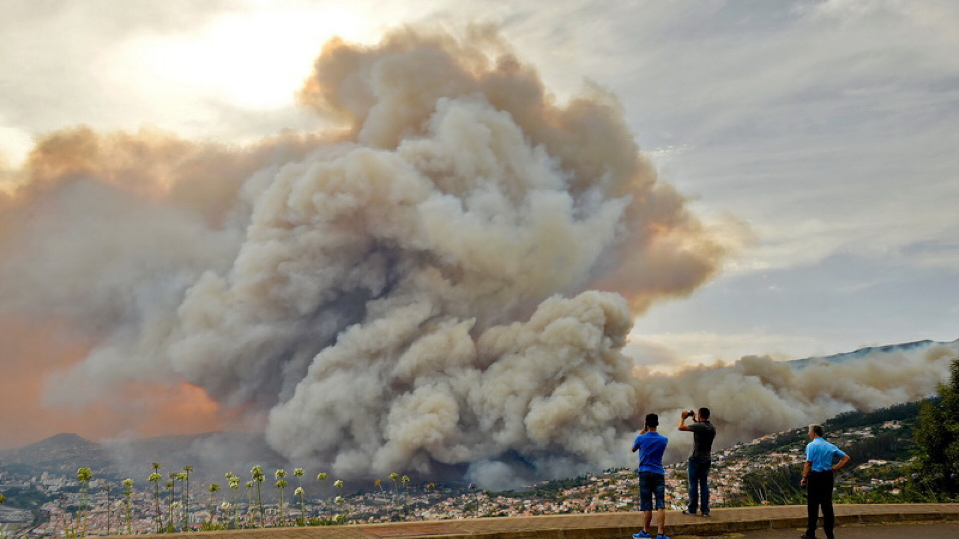 Incendiul de vegetatie din Madeira, Portugalia, fotografiat de cativa localnici