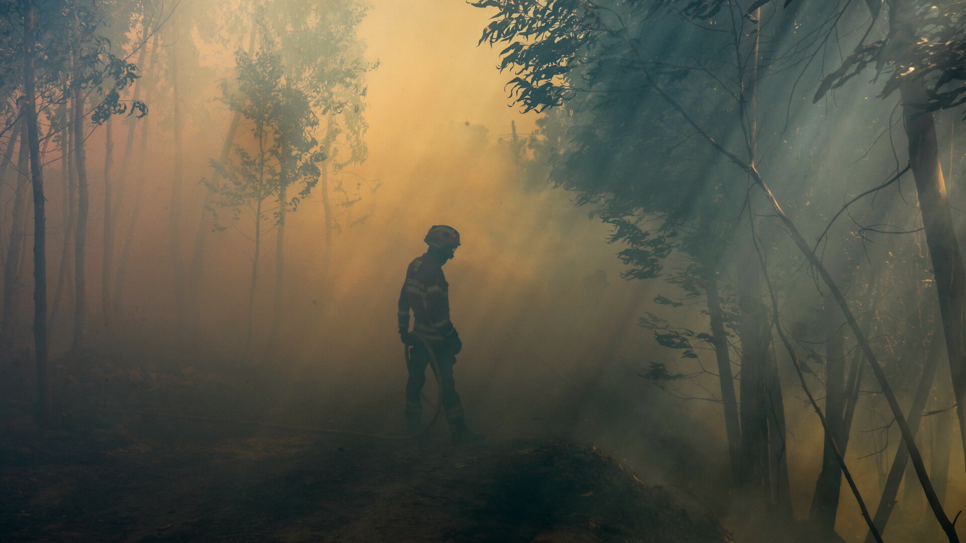 Un pompier se luptă cu flăcările, într-o pădure din sudul Portugaliei