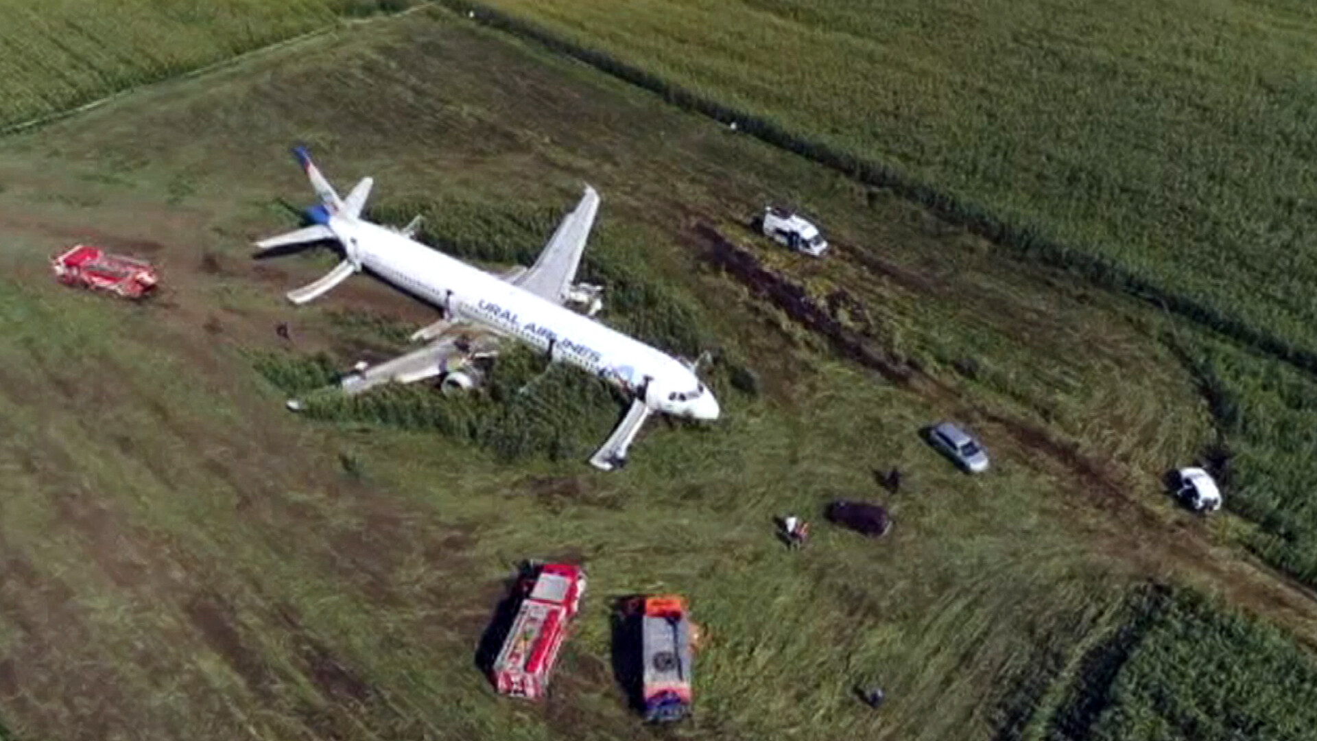 Momentul în care avionul cu 233 de oameni la bord a lovit un stol de păsări. VIDEO