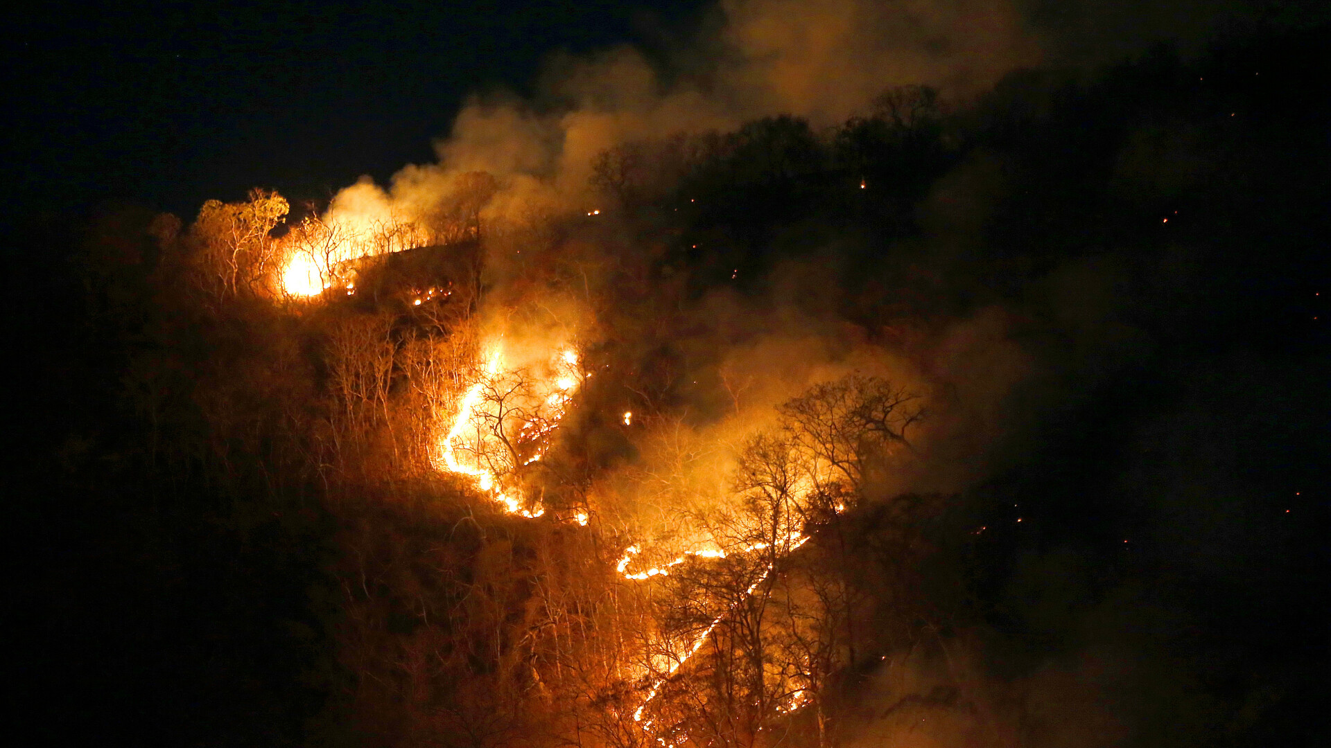 Amazon, Brazilia, incendiu