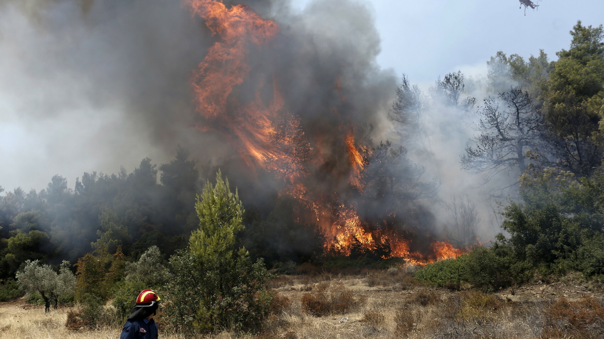 incendii de vegetaţie în Grecia