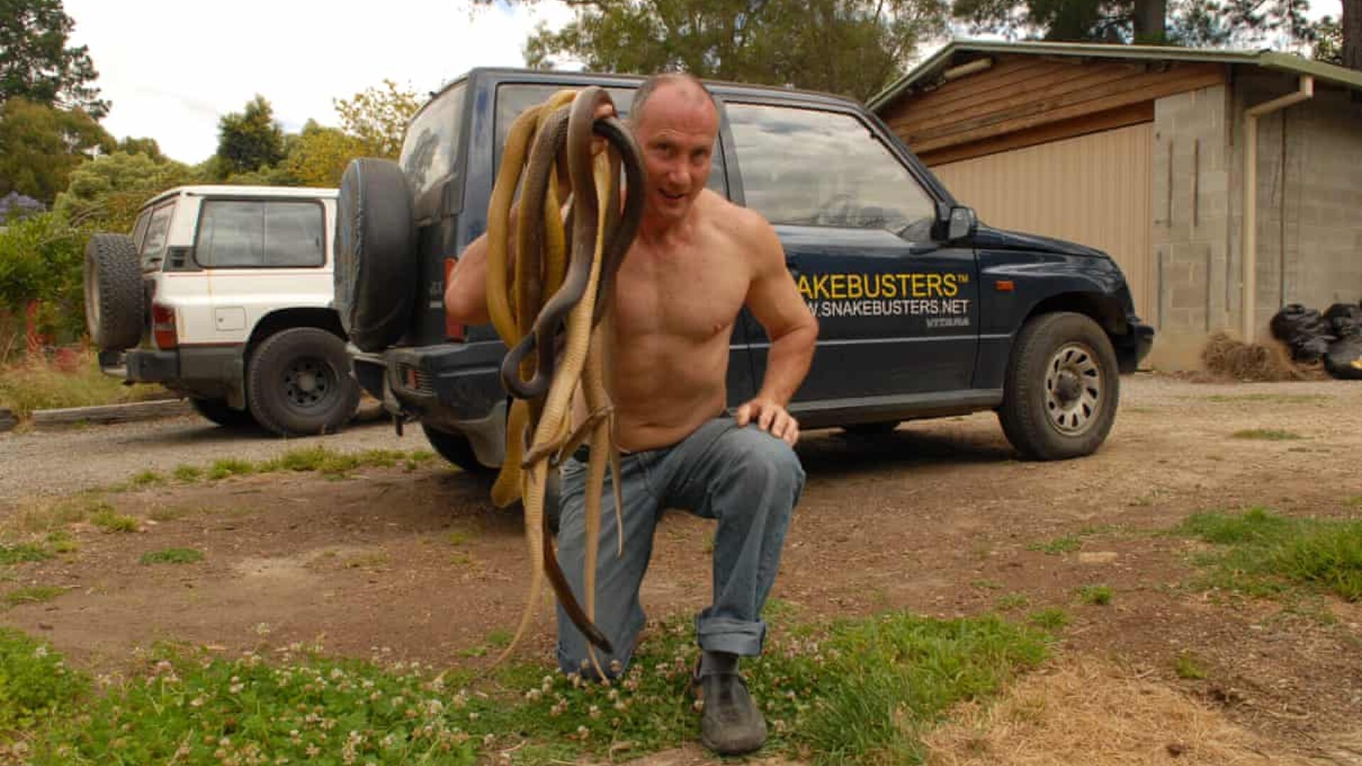 vanatorul de șerpi snakebusters