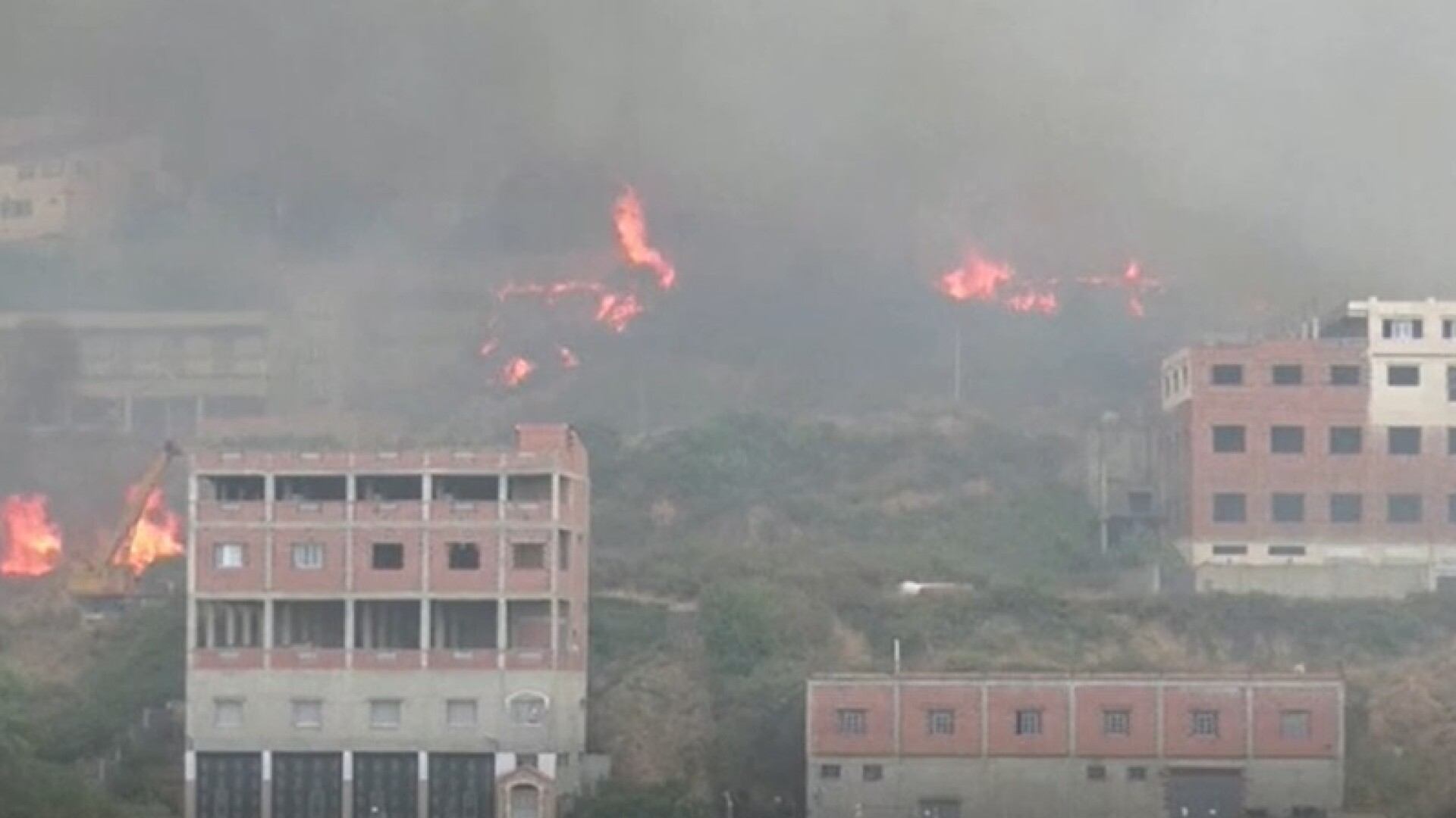Incendii violente de vegetație în Algeria. Zeci de oameni au murit