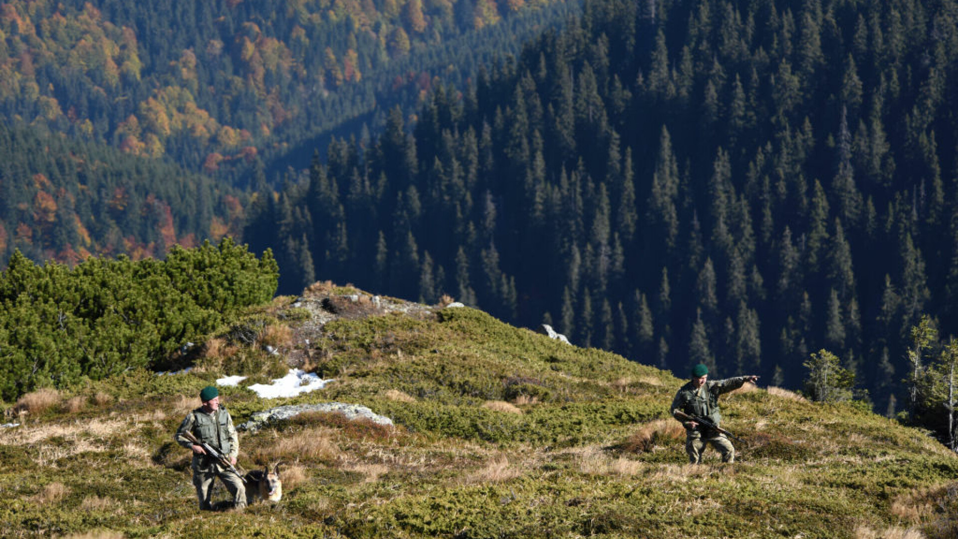 Grănicer ucrainean, împușcat mortal la frontiera cu România. În aceeași zonă, polițiștii români au tras focuri de armă