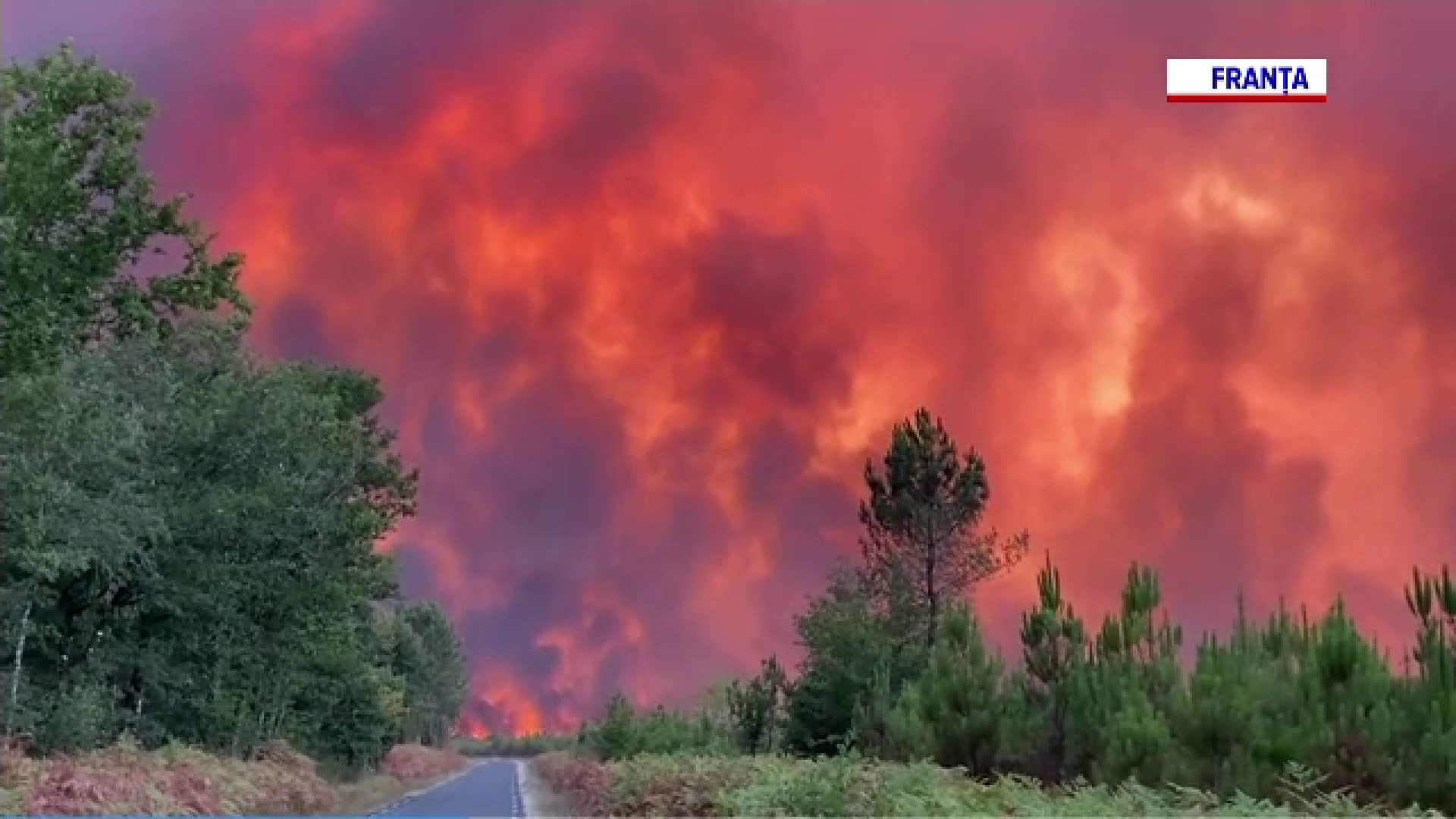 incendiu în regiunea Gironde din Franța