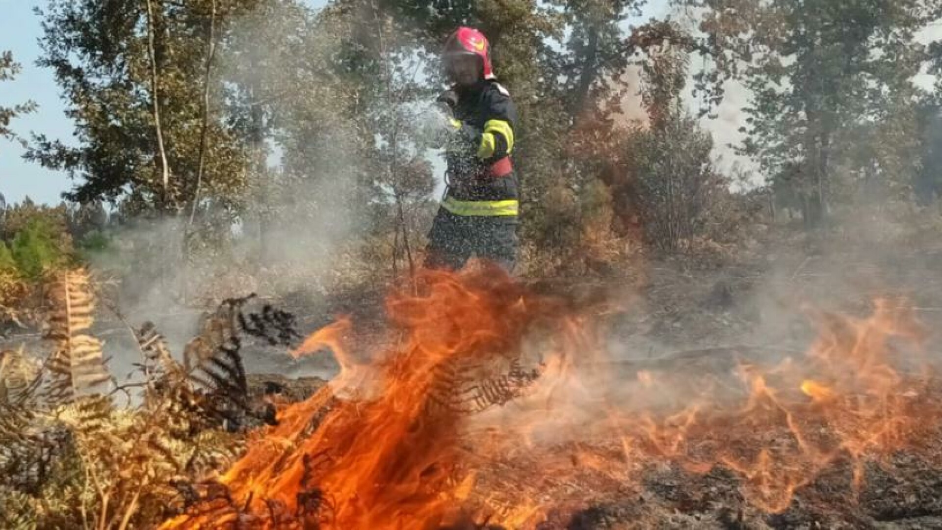 Incendiu de vegetaţie în sudul Franţei. Aproape 1.000 de pompieri au fost mobilizaţi