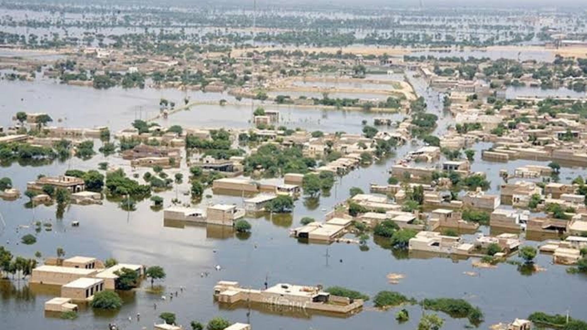 pakistan inundatii