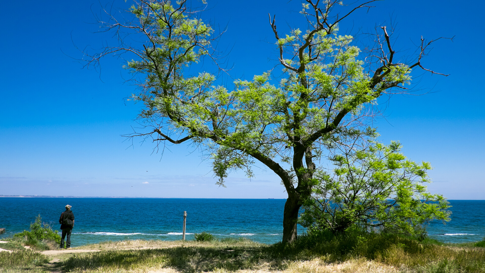 plaja odesa