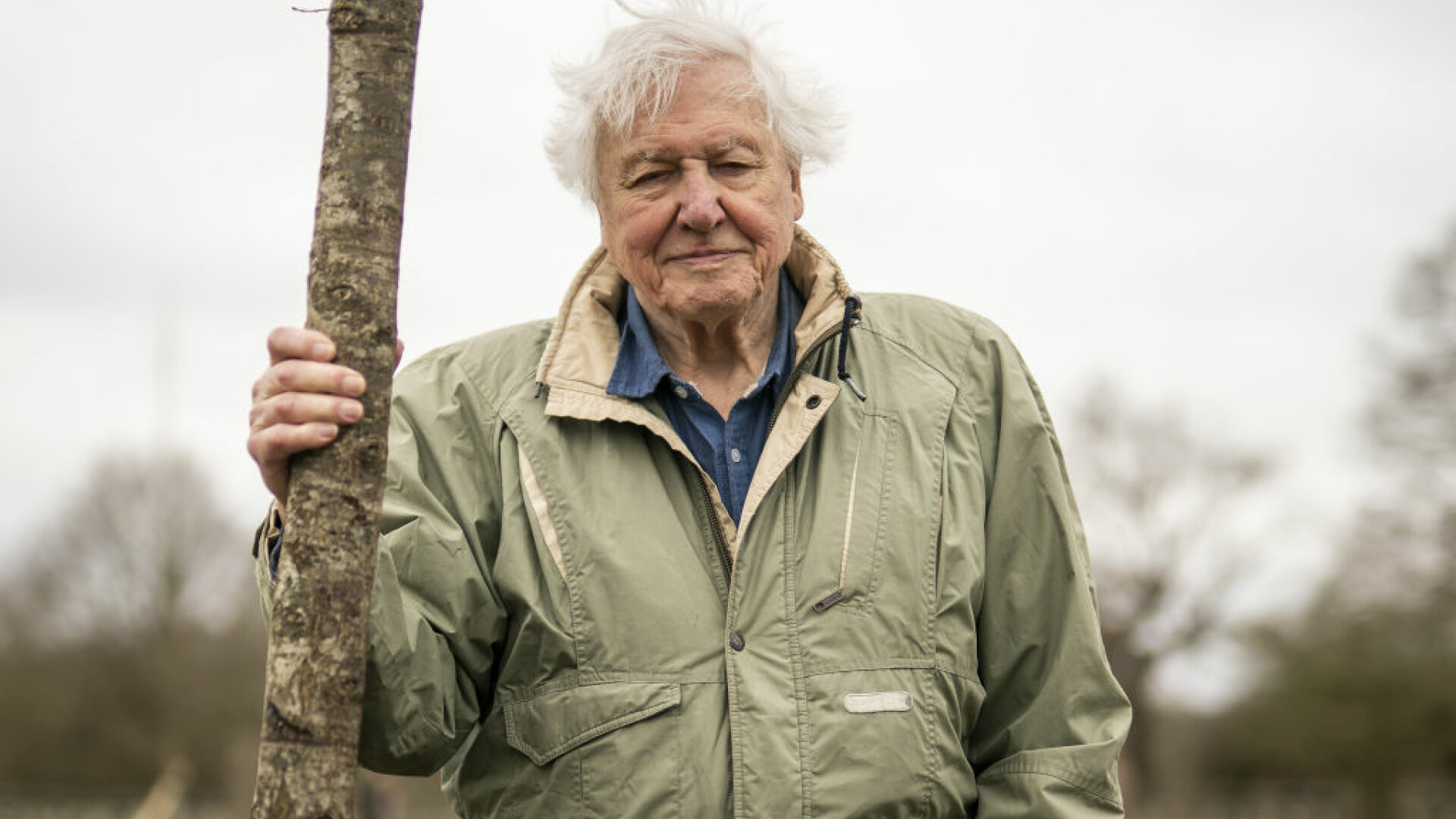 Sir David Attenborough