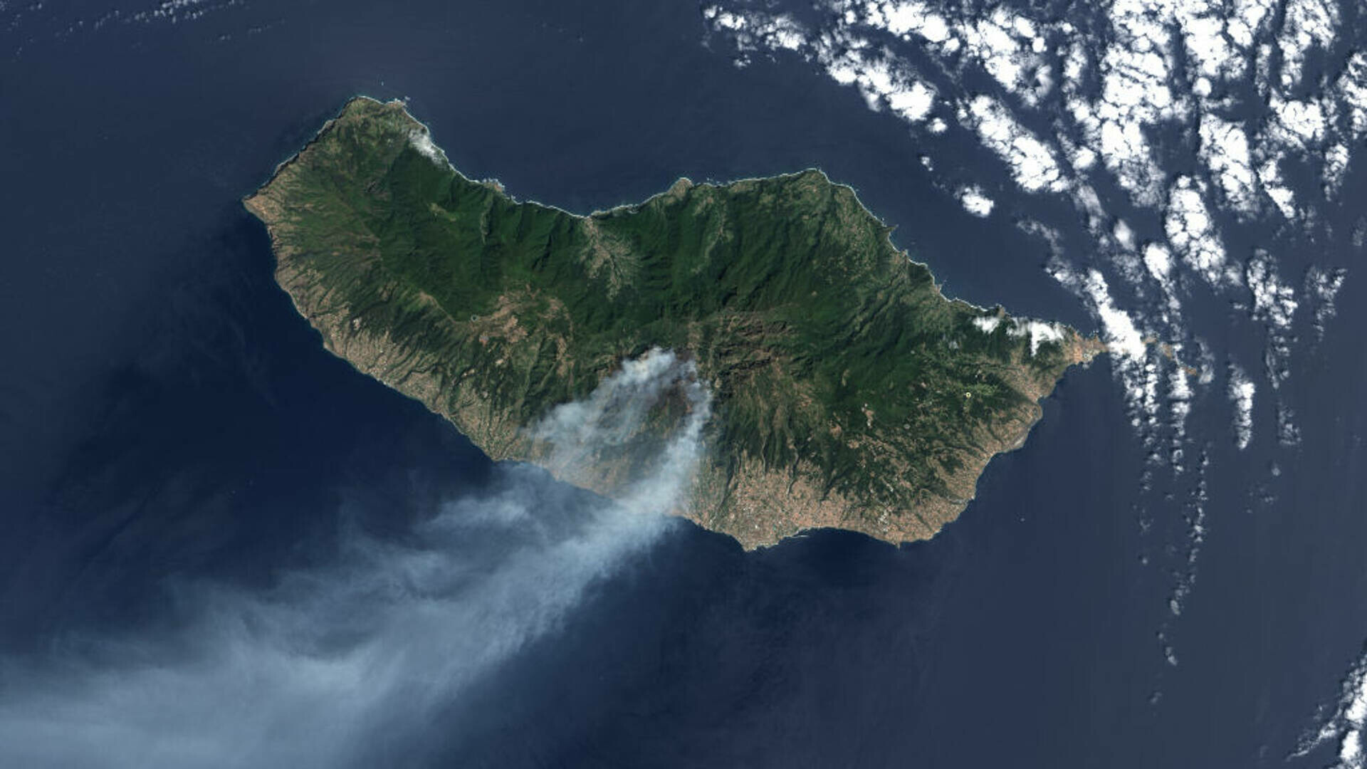 incendiu madeira