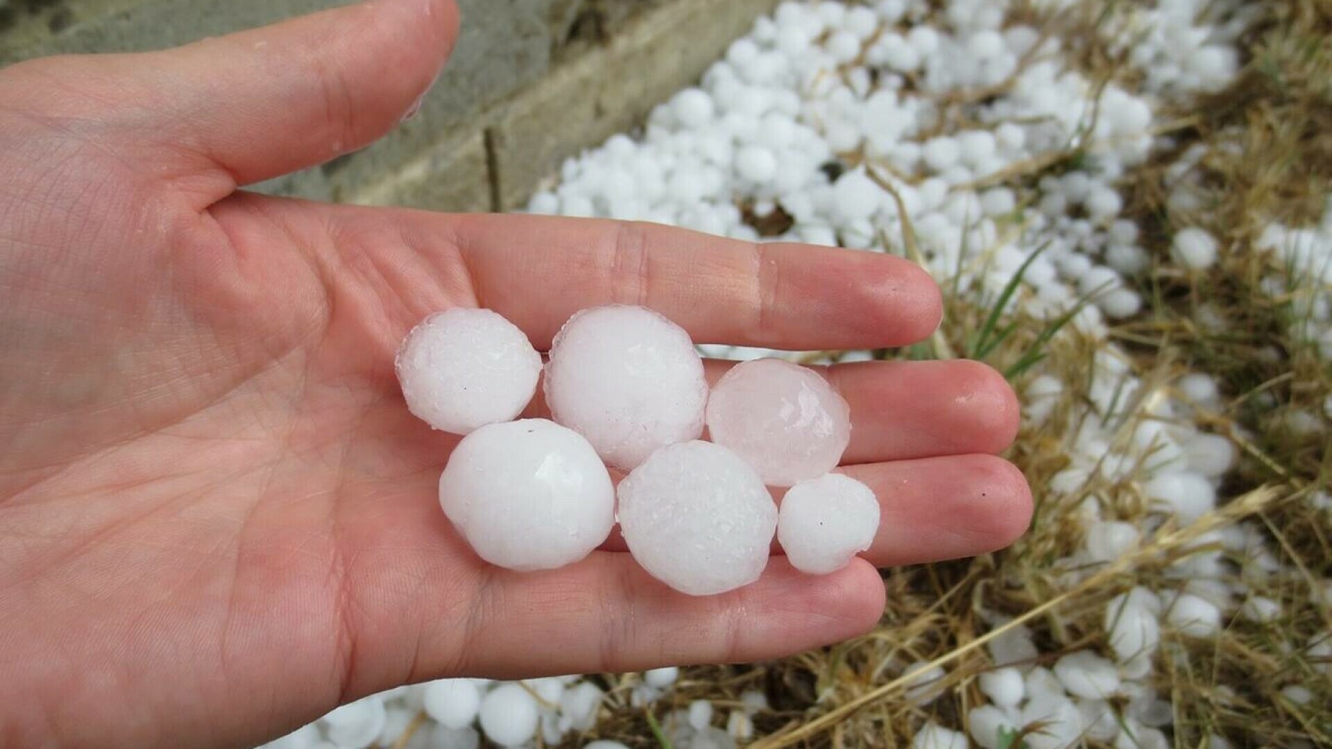 Cod roşu de grindină, ploi torenţiale şi vijelie puternică, posibil cu aspect de tornadă, în două județe. Zonele vizate